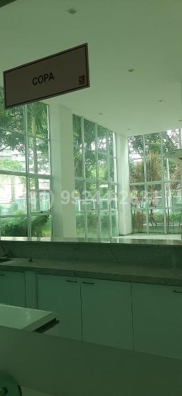 foto8