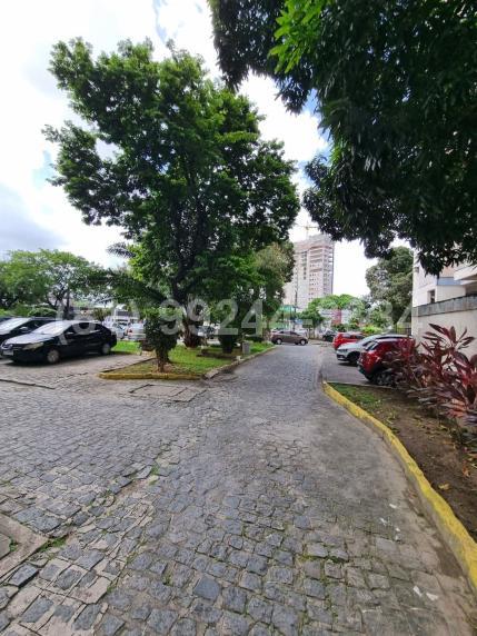 foto8