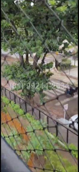 foto8