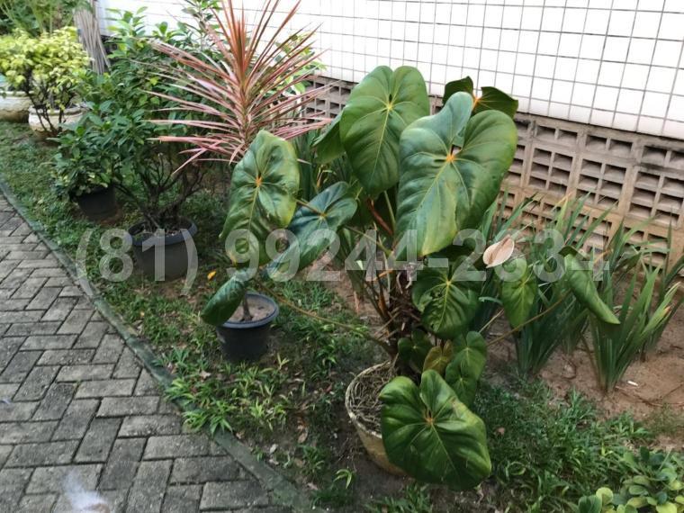 Apartamento de 3 quartos, 70m² no bairro Espinheiro, em Recife | Eu Corretor